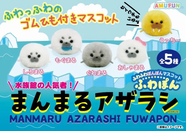 まんまるアザラシふわぽんの台紙