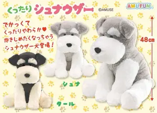 くったりシュナウザーの画像
