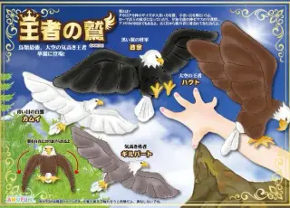 王者の鷲の画像