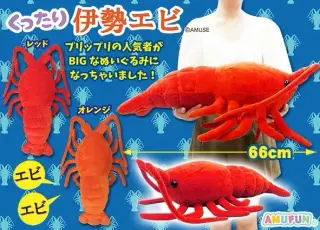 くったり伊勢エビの画像