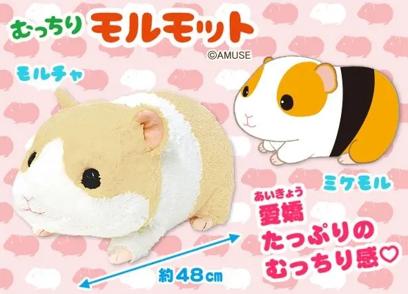 むっちりモルモット ラインナップ 2