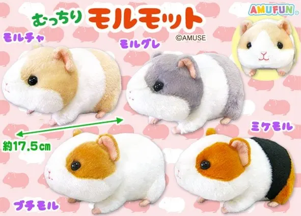 むっちりモルモット ラインナップ 3