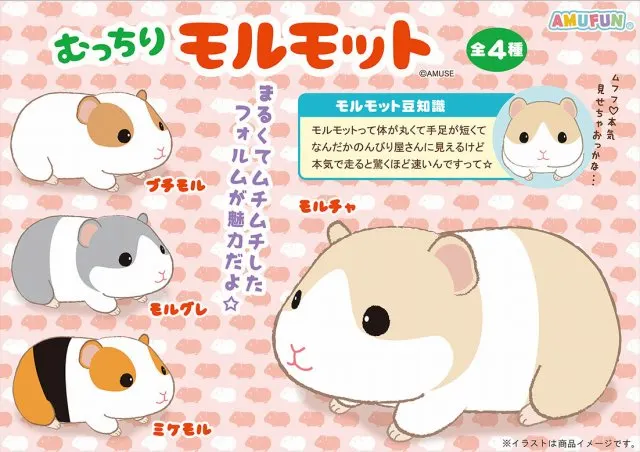 むっちりモルモット ラインナップ 4