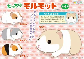 むっちりモルモットの画像