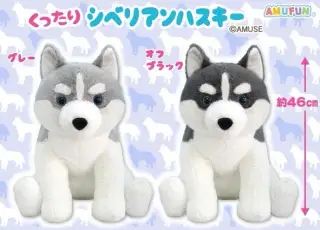 くったりシベリアンハスキーの画像