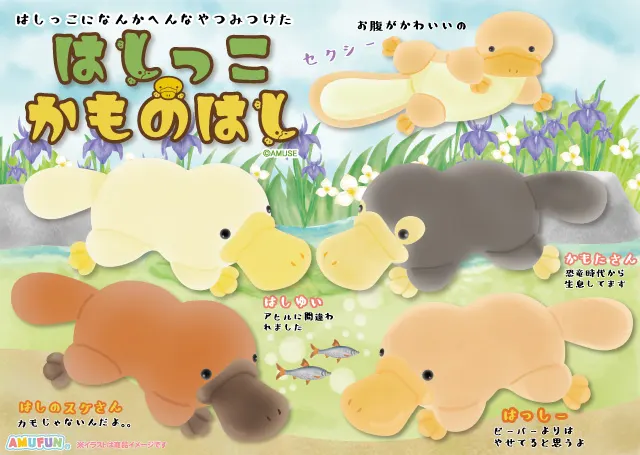 はしっこかものはし(画像)