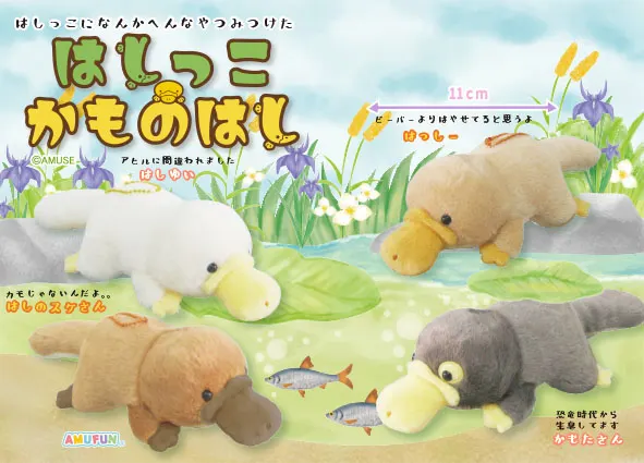 はしっこかものはし ラインナップ 4