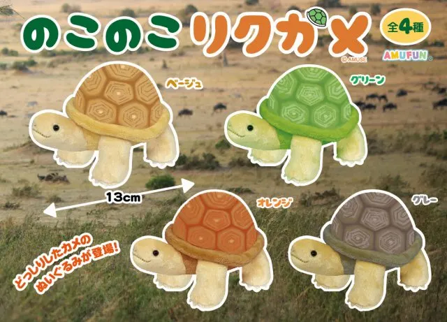 のこのこリクガメ ラインナップ 3