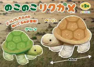 のこのこリクガメの画像