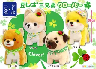豆しば三兄弟クローバーの画像