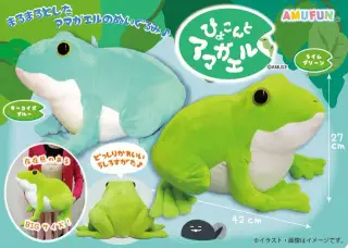 ぴょこんとアマガエルの画像