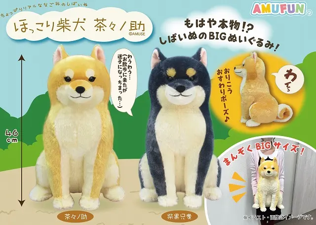 ほっこり柴犬茶々ノ助(画像)