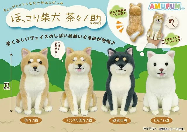 ほっこり柴犬茶々ノ助 ラインナップ 3