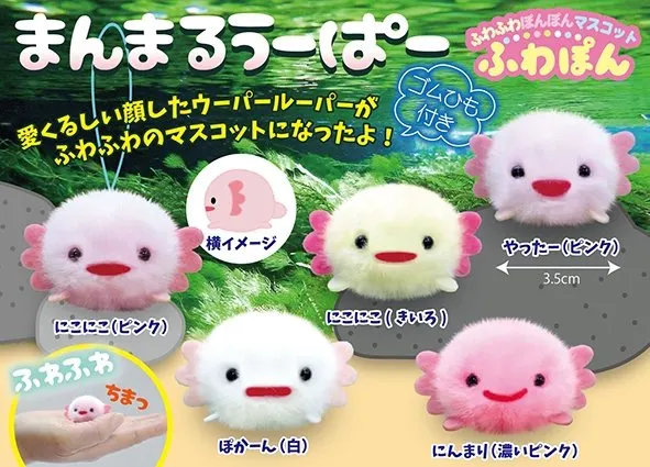 まんまるうーぱーふわぽん ラインナップ 2
