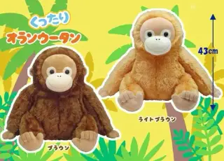 くったりオランウータンの画像