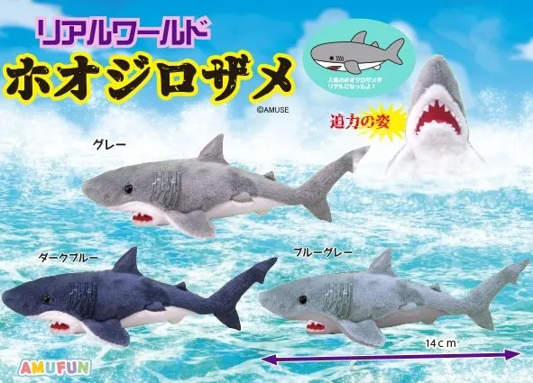 リアルワールドホオジロザメ ラインナップ 5