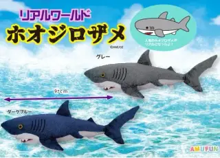 リアルワールドホオジロザメの画像