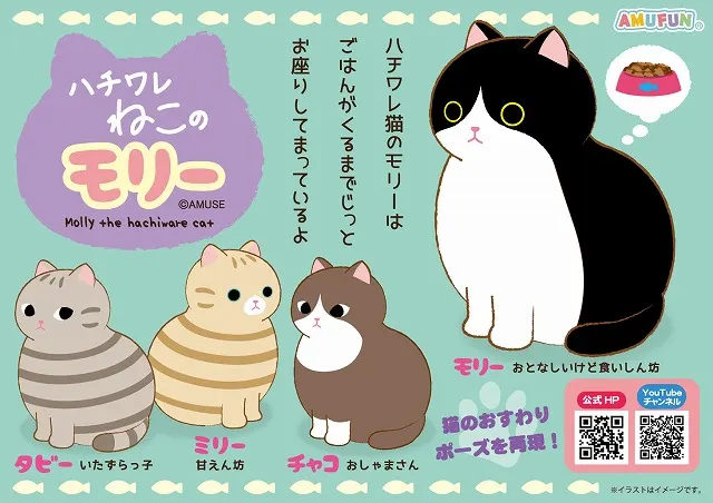 ハチワレねこのモリー(画像)