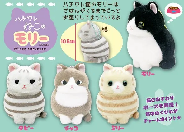 ハチワレねこのモリー ラインナップ 5