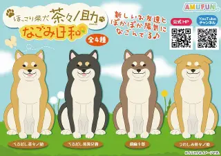 ほっこり柴犬茶々ノ助なごみ日和の画像