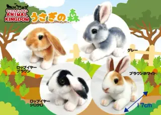 アニマルキングダムうさぎの森の画像