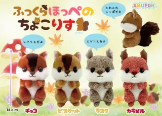ふっくらほっぺのちょこりすの画像