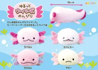 ゆるっとウーパーずのんびりの画像