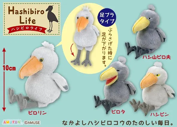 ハシビロライフ ラインナップ 4