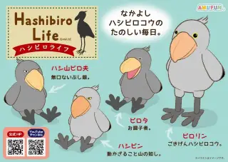 ハシビロライフの画像