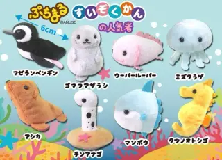 ぷちまる水族館の人気者の画像