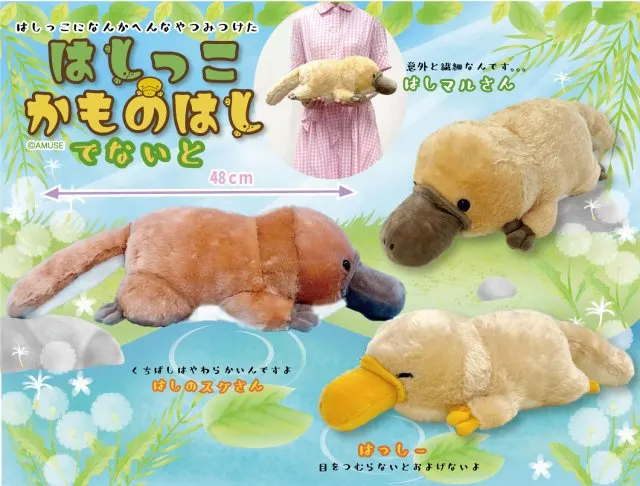 はしっこかものはしでないと ラインナップ 4