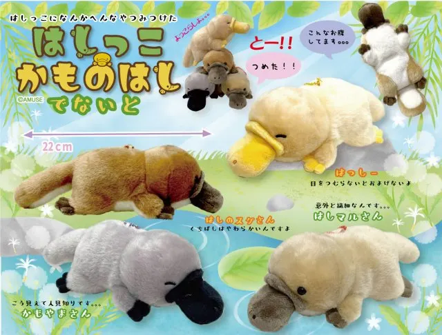 はしっこかものはしでないと ラインナップ 5