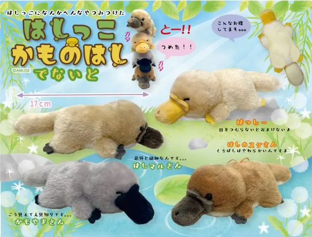 はしっこかものはしでないと ラインナップ 6