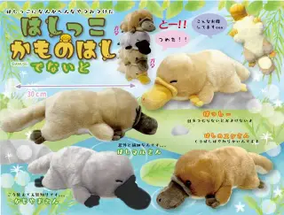はしっこかものはしでないとの画像