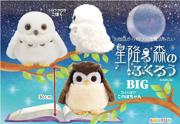 星降る森のふくろう ラインナップ 2