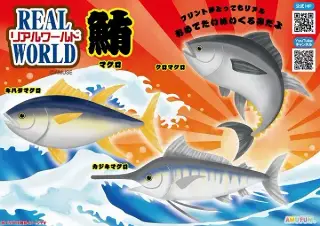 リアルワールドマグロの画像