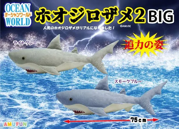 オ―シャンワールドホオジロザメ2 ラインナップ 3