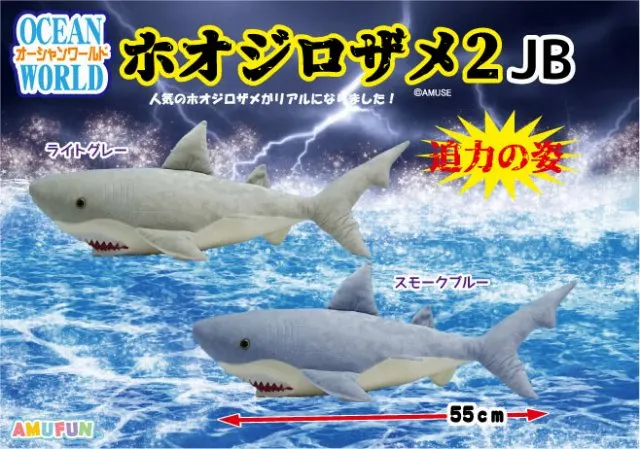 オ―シャンワールドホオジロザメ2 ラインナップ 4