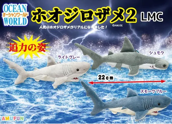 オ―シャンワールドホオジロザメ2 ラインナップ 5