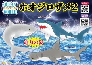 オ―シャンワールドホオジロザメ2の画像