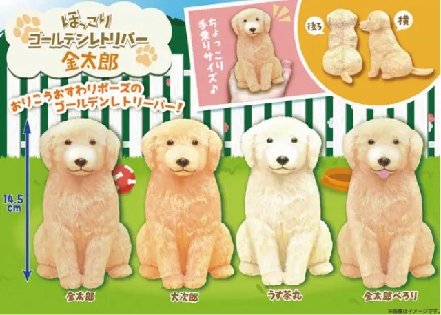 ほっこりゴールデンレトリバー金太郎 ラインナップ 5