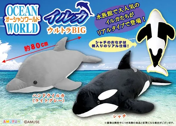 オーシャンワールドイルカ ラインナップ 1