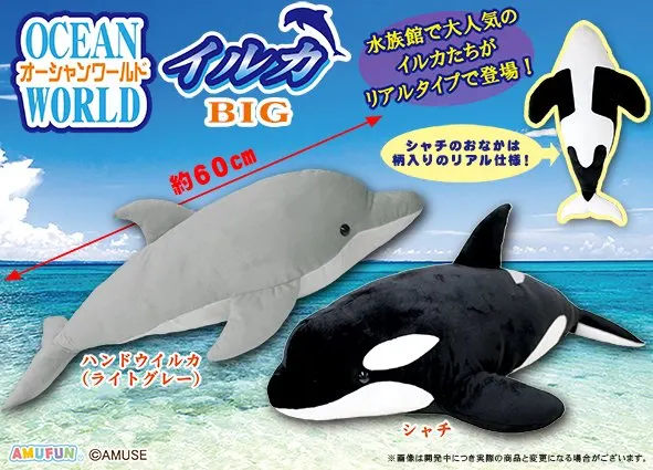 オーシャンワールドイルカ ラインナップ 2