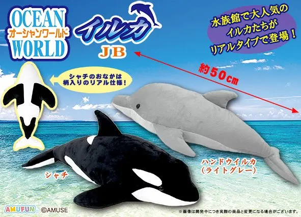 オーシャンワールドイルカ ラインナップ 3