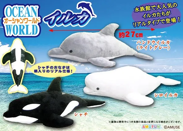 オーシャンワールドイルカ ラインナップ 4