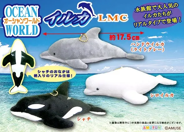 オーシャンワールドイルカ ラインナップ 5