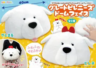 グレートピレニーズドームフェイスの画像