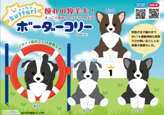 くったりボーダーコリーの画像