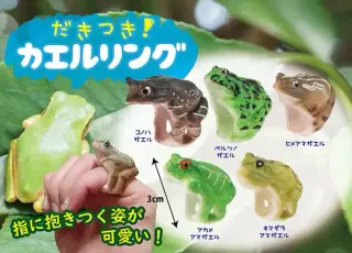 抱きつきカエルリングの画像
