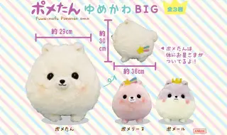 ポメたんゆめかわの画像